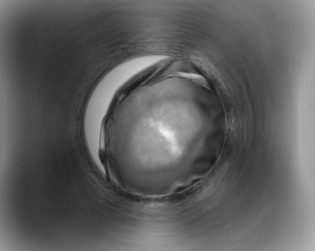 X0000088060593200706081651
