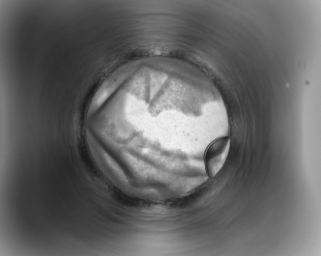 X0000088060594200706081651