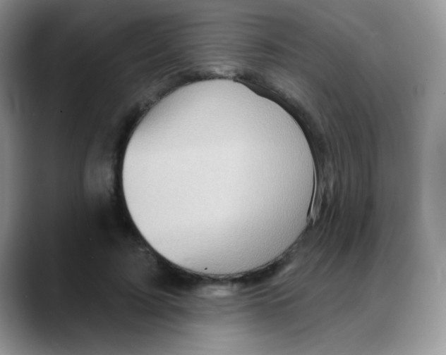 X0000088060595200706081651