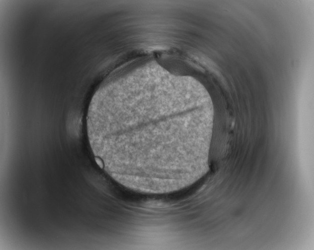 X0000088060596200706081651