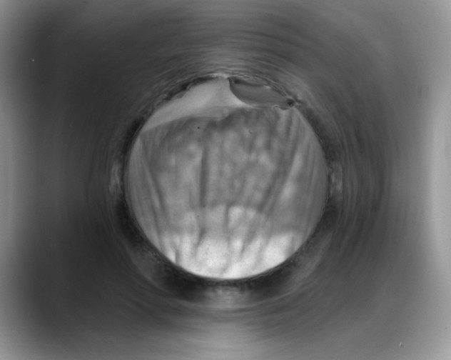 X0000088060598200706081651