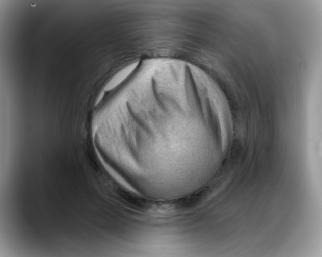 X0000088060599200706081651