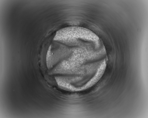X0000088060600200706081651