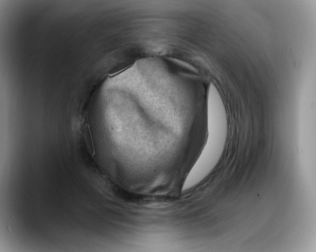 X0000088060601200706081651