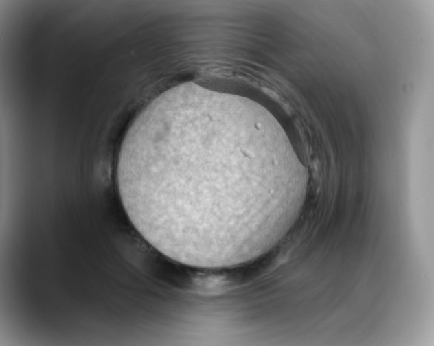 X0000088060602200706081651