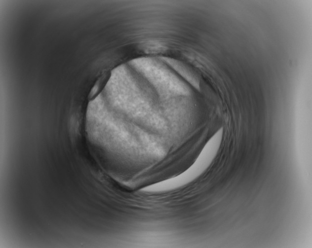 X0000088060604200706081651