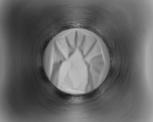 X0000088060606200706081651