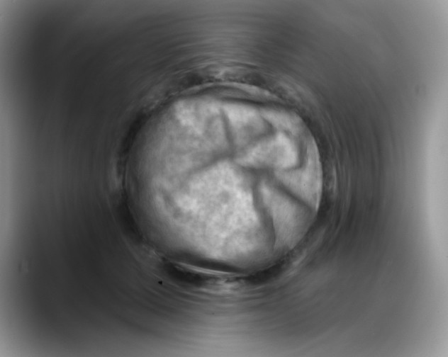 X0000088060607200706081651
