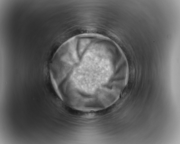 X0000088060609200706081651