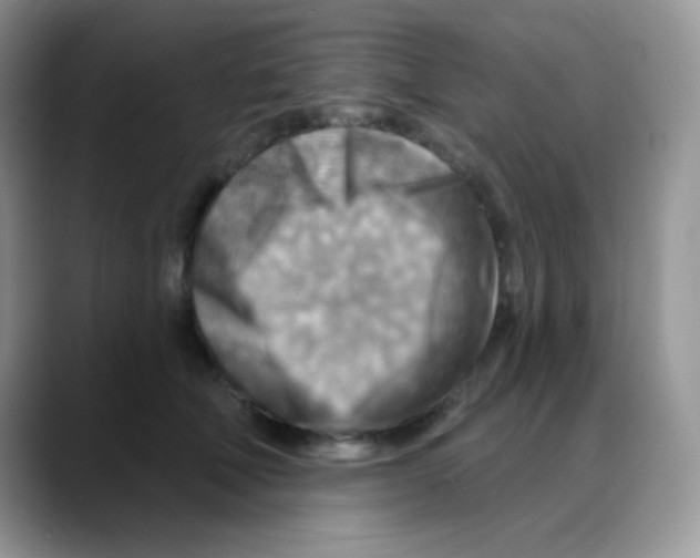 X0000088060610200706081651