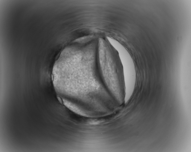 X0000088060613200706081651