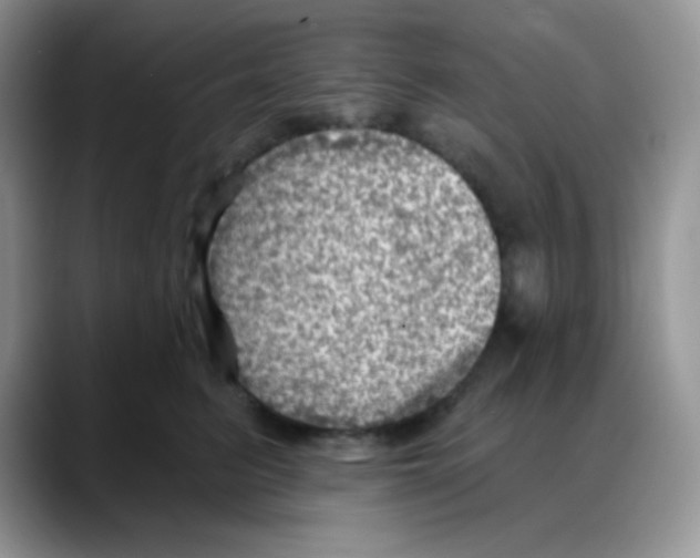 X0000088060615200706081651