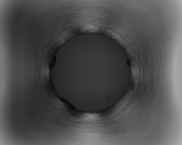 X0000088060617200706081651