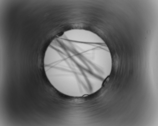 X0000088060619200706081651