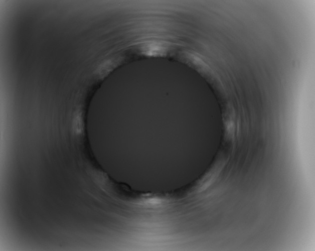 X0000088060620200706081651
