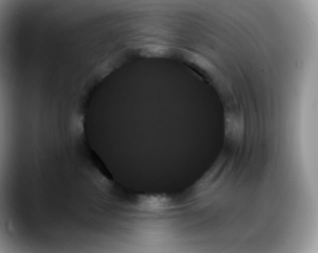 X0000088060621200706081651