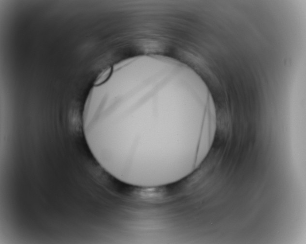 X0000088060622200706081651