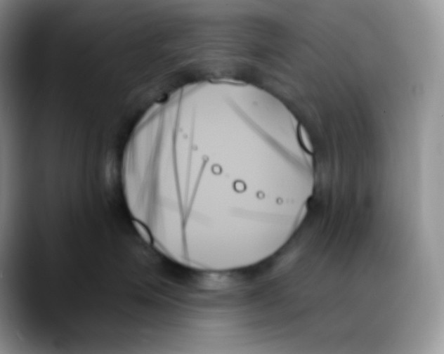 X0000088060623200706081651