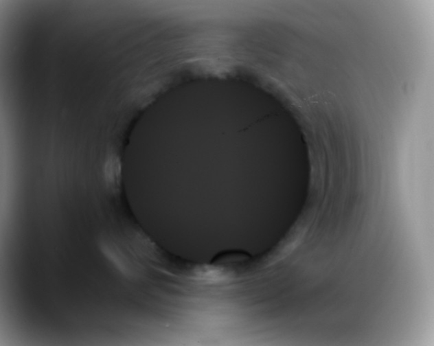 X0000088060624200706081650