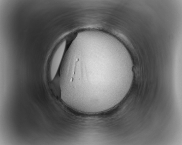 X0000088060628200706081650