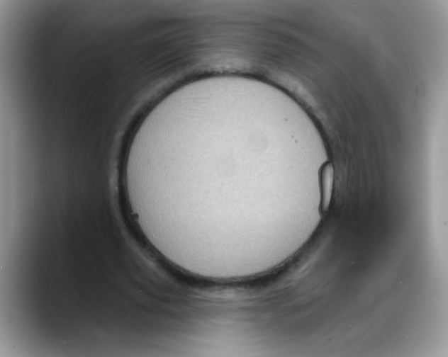 X0000088060629200706081650