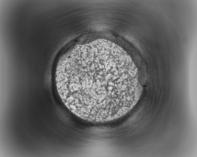 X0000088060630200706081650