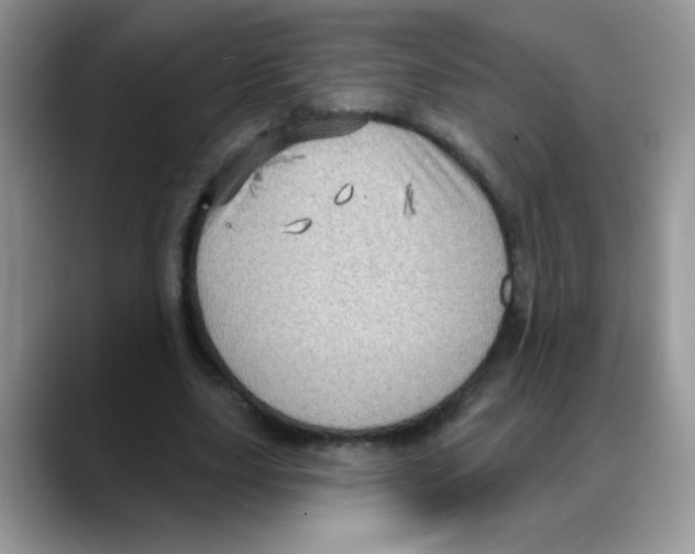 X0000088060631200706081650