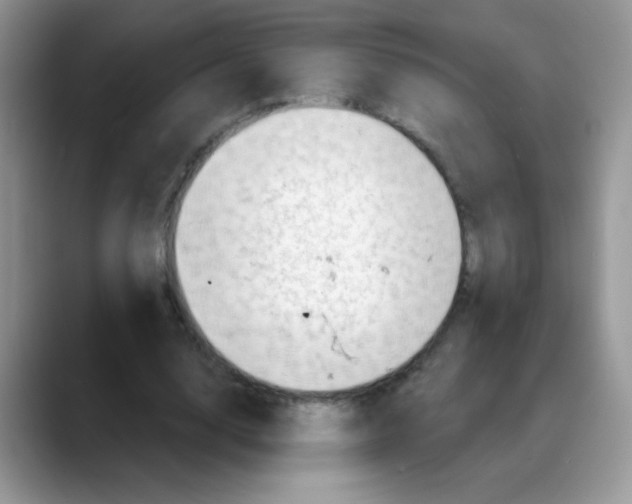 X0000088060632200706081650