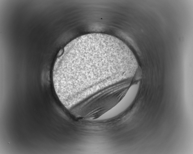 X0000088060633200706081650