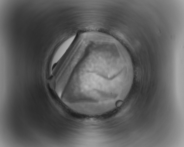 X0000088060634200706081650