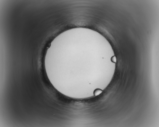 X0000088060635200706081650