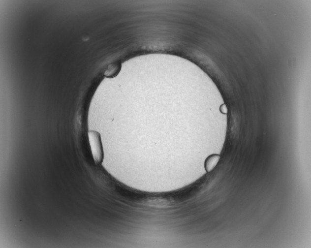 X0000088060636200706081650