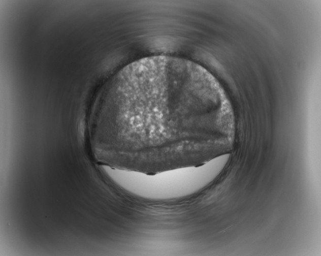 X0000088060637200706081650