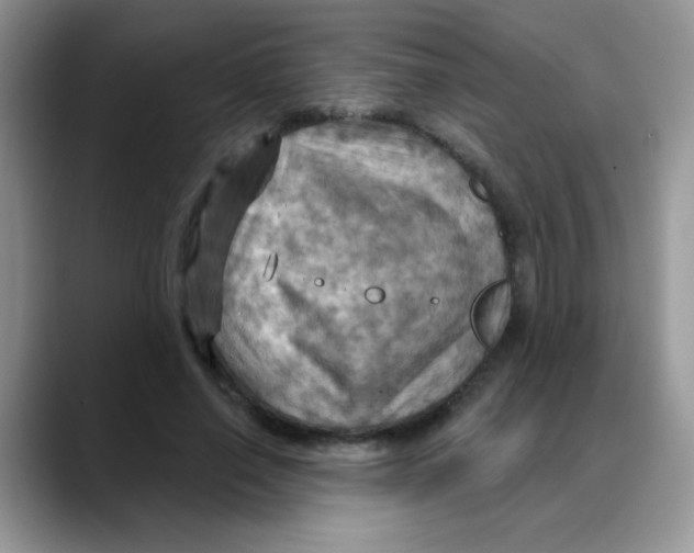 X0000088060638200706081650