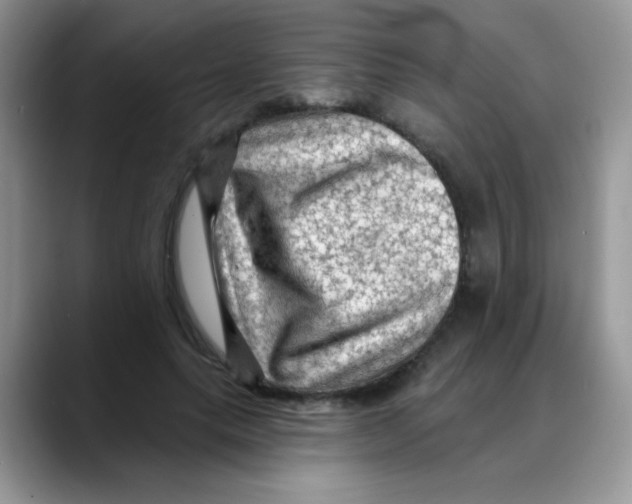 X0000088060639200706081650
