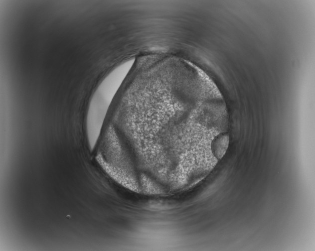 X0000088060641200706081650