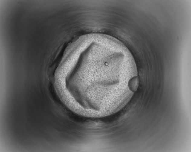 X0000088060642200706081650