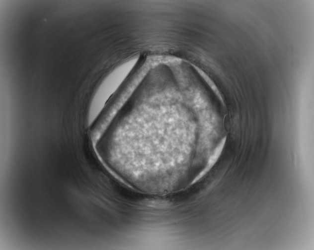 X0000088060644200706081650