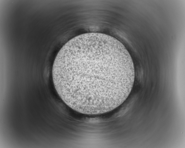 X0000088060645200706081650