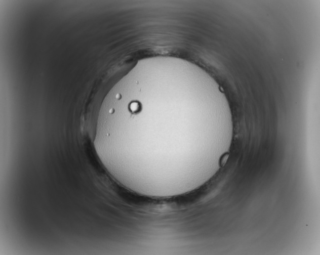 X0000088060646200706081650