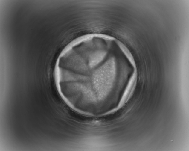 X0000088060647200706081650