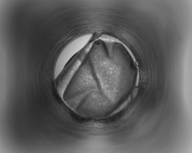 X0000088060648200706081650