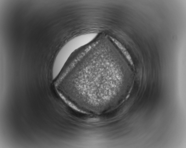 X0000088060653200706081650
