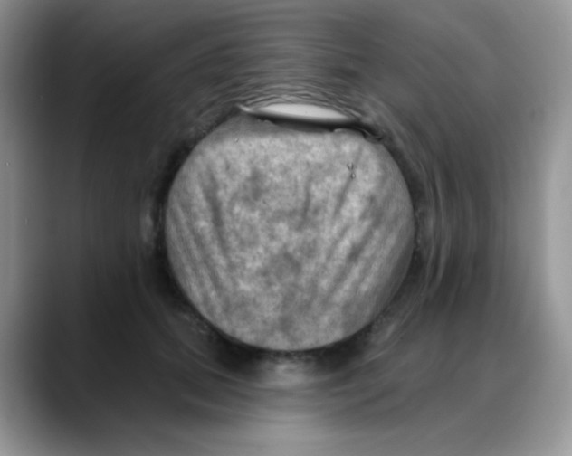 X0000088060655200706081650