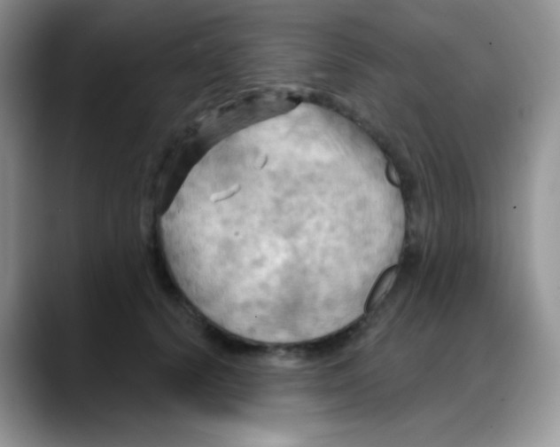 X0000088060656200706081650