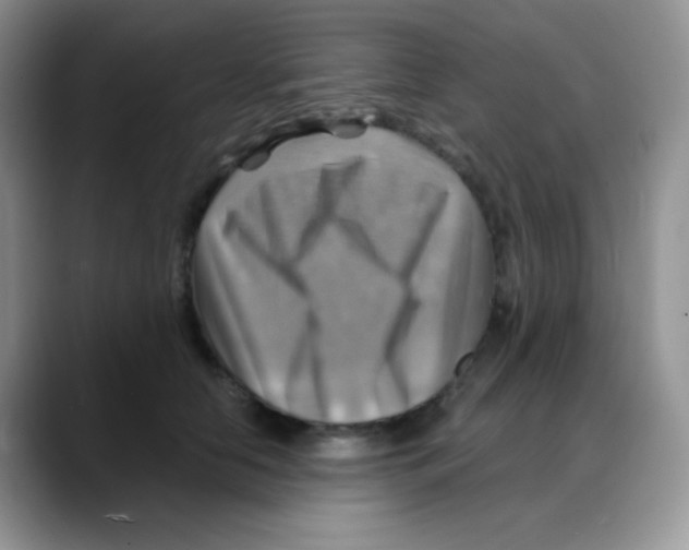 X0000088060658200706081650