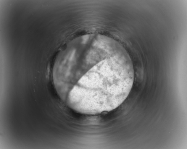 X0000088060659200706081650