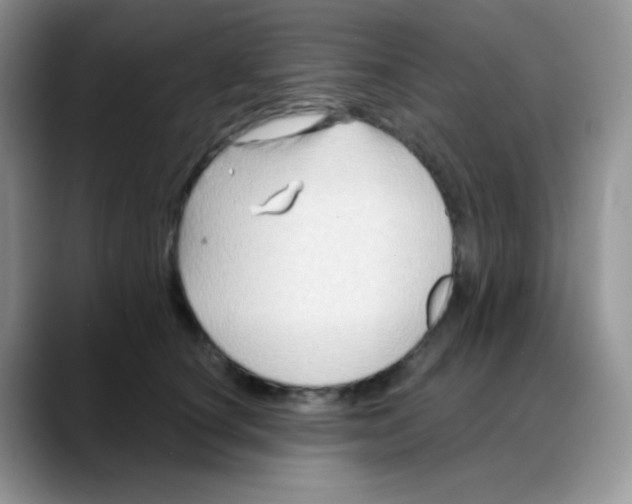 X0000088060660200706081650