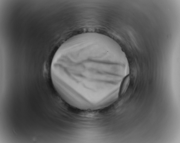 X0000088060661200706081650