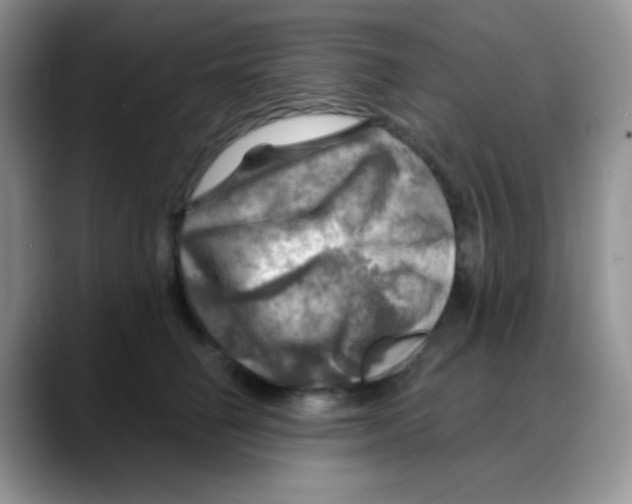 X0000088060662200706081650